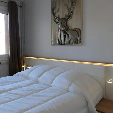 Confortable Aux 2 Alpes, 47m², 6 Pers., Proche Pistes Et Commerces - Fr-1-546-55